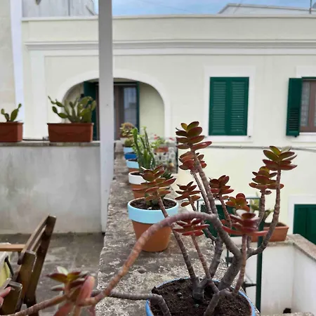 Casa Anacleto *
