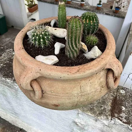 Casa Anacleto